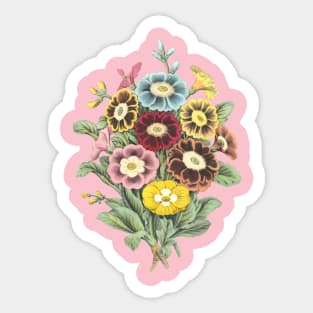 Primrose Flower Bouquet Vintage Botanical Illustration Sticker